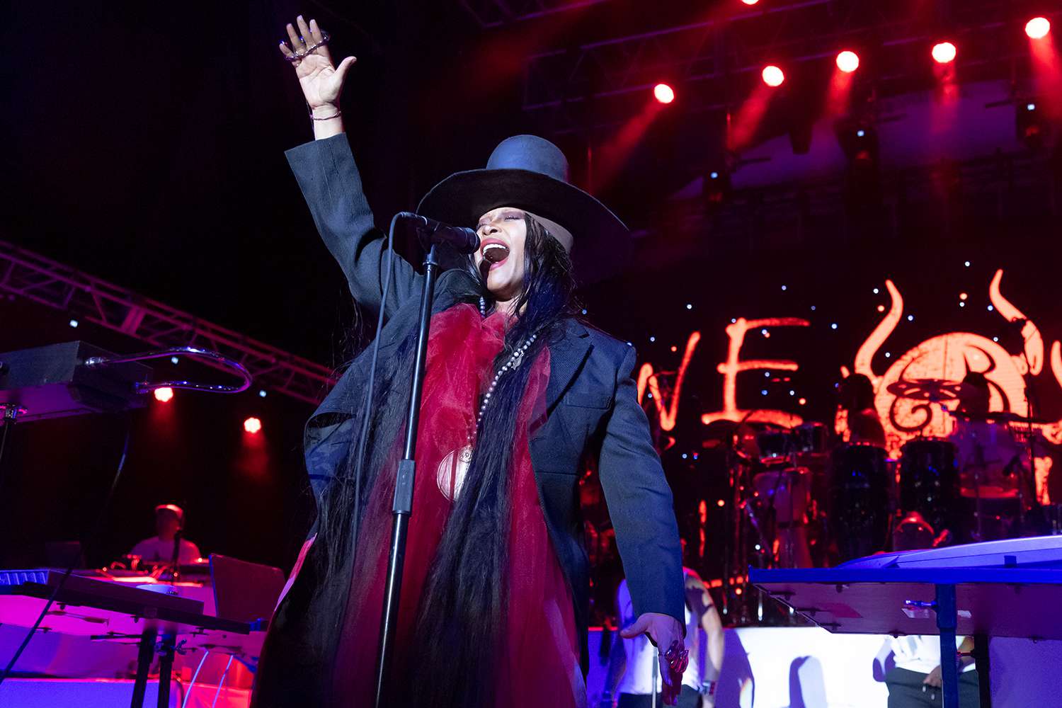 Erykah Badu performs at 2024 AFROPUNK BLKTOPIA at Lena Horne Bandshell on August 23, 2024 in New York City.