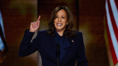 Democratic presidential candidate, U.S. Vice President Kamala Harris speaks on stage during the final day of the DNC at the United Center on Aug. 22, 2024 in Chicago, Illinois.