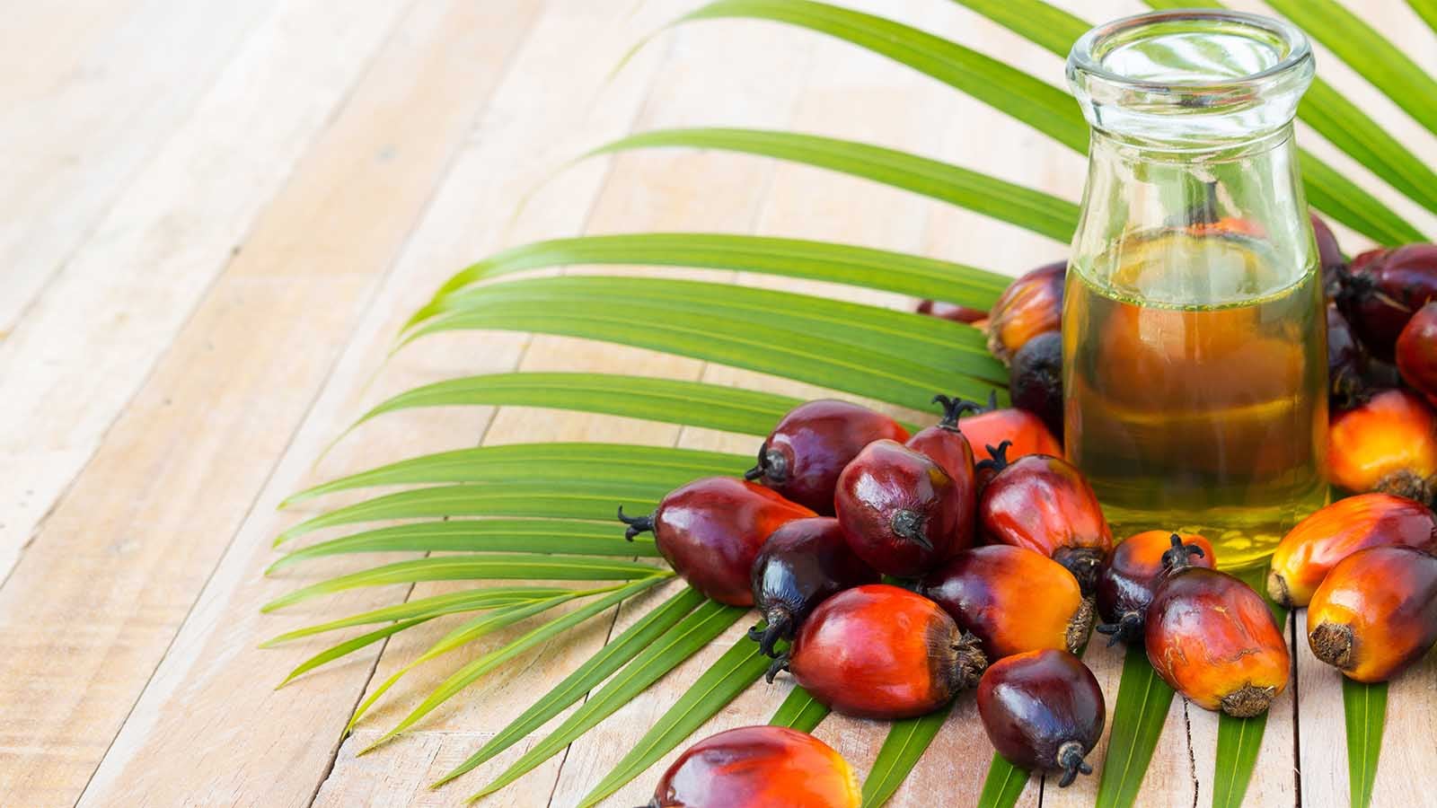 Palm oil benefits