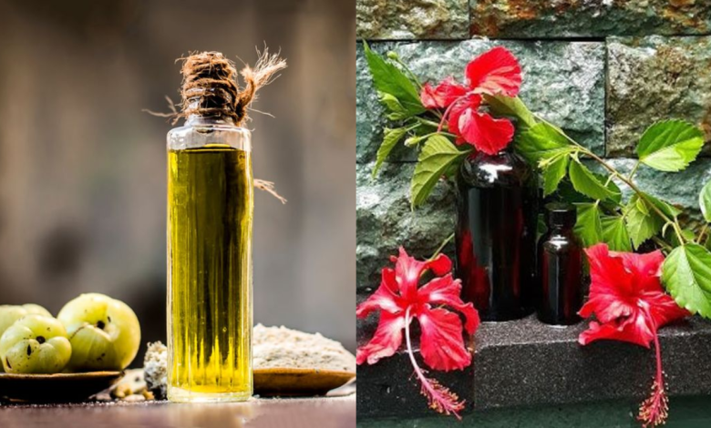 Amla oil or Hibiscus oil: Which is better for hair growth?