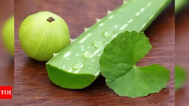 Aloe Vera vs Amla: Which is better for your hair?