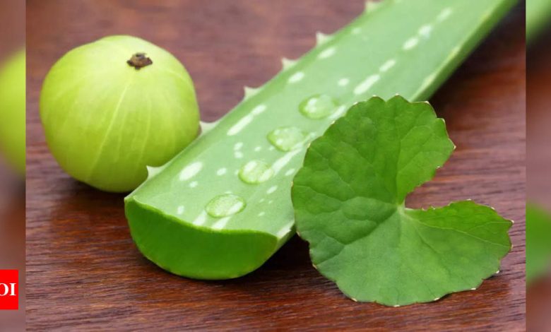 Aloe Vera vs Amla: Which is better for your hair?