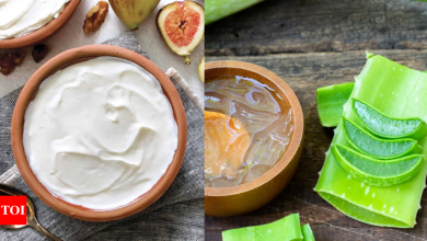 Malai vs aloe vera: What is best for your skin?