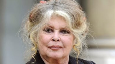 Brigitte Bardot's complicated love life at 90: from her Hollywood affairs to her four marriages