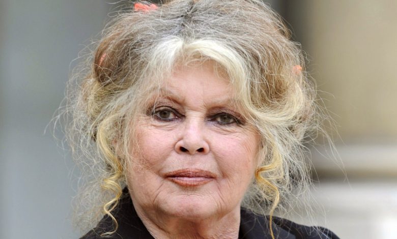 Brigitte Bardot's complicated love life at 90: from her Hollywood affairs to her four marriages