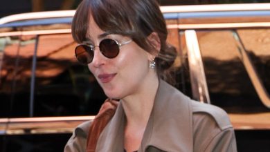 If You Thought Black Bags Were Classic, Wait Until You See Dakota Johnson's Timeless Alt