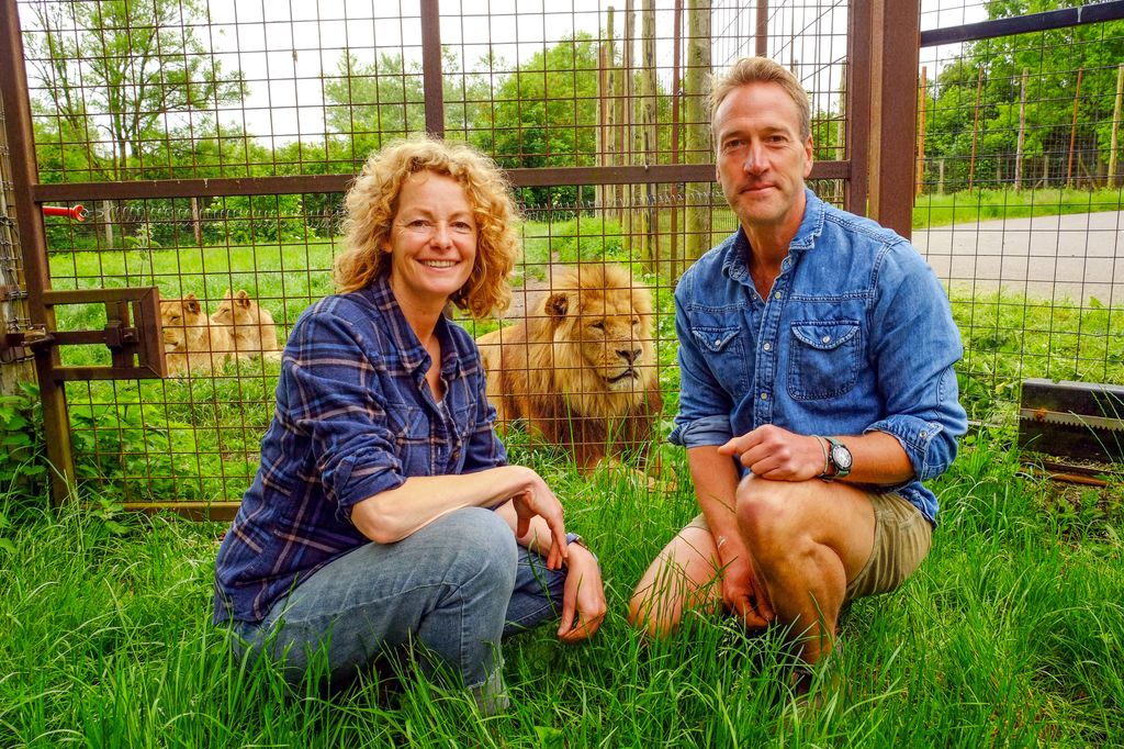 Kate Humble and Ben Fogle in front of a lion in an enclosure