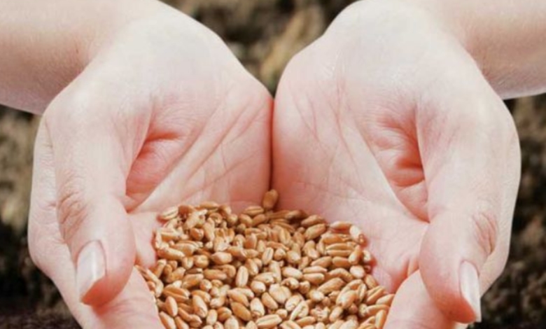 These powerful seeds stimulate hair growth