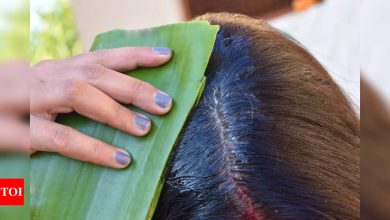 Aloe Vera for Hair Fall: How to use Aloe Vera to stop hair fall instantly |