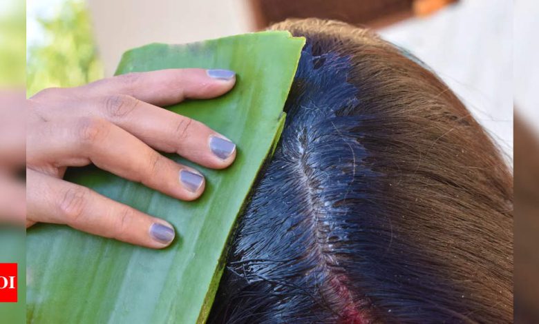 Aloe Vera for Hair Fall: How to use Aloe Vera to stop hair fall instantly |