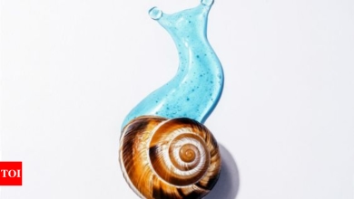 Snail mucin is a holy grail for skin: Benefits and side effects |