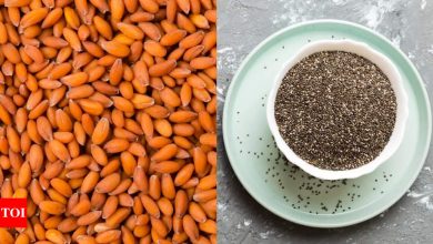 Aliv vs Chia seeds soaked in water: Which is better for your skin? |