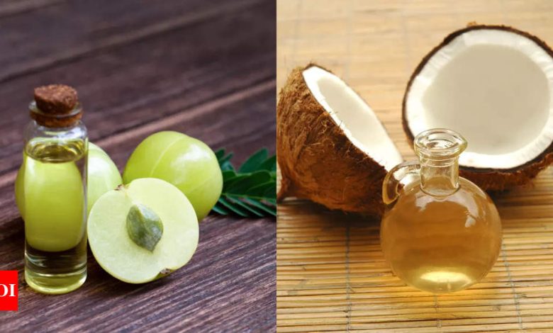 Amla Oil vs Coconut Oil: Which is better for hair? |