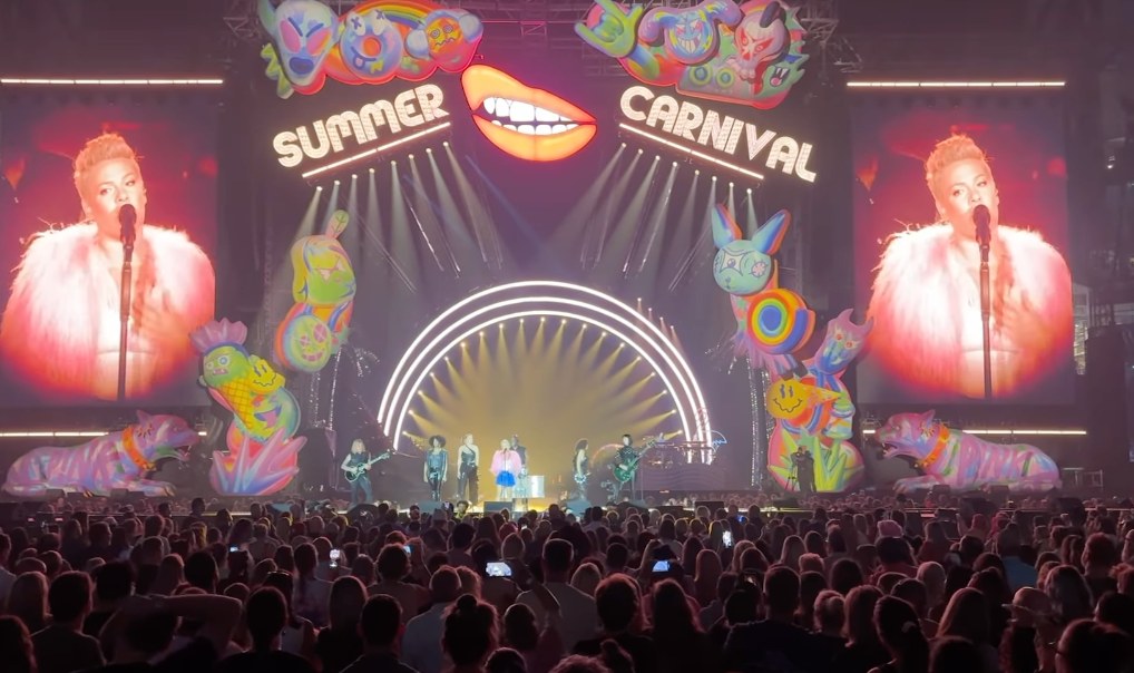 Still from a video shared by Pink's husband Carey Hart enjoying one of her concerts from the middle of the crowd