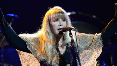 Stevie Nicks