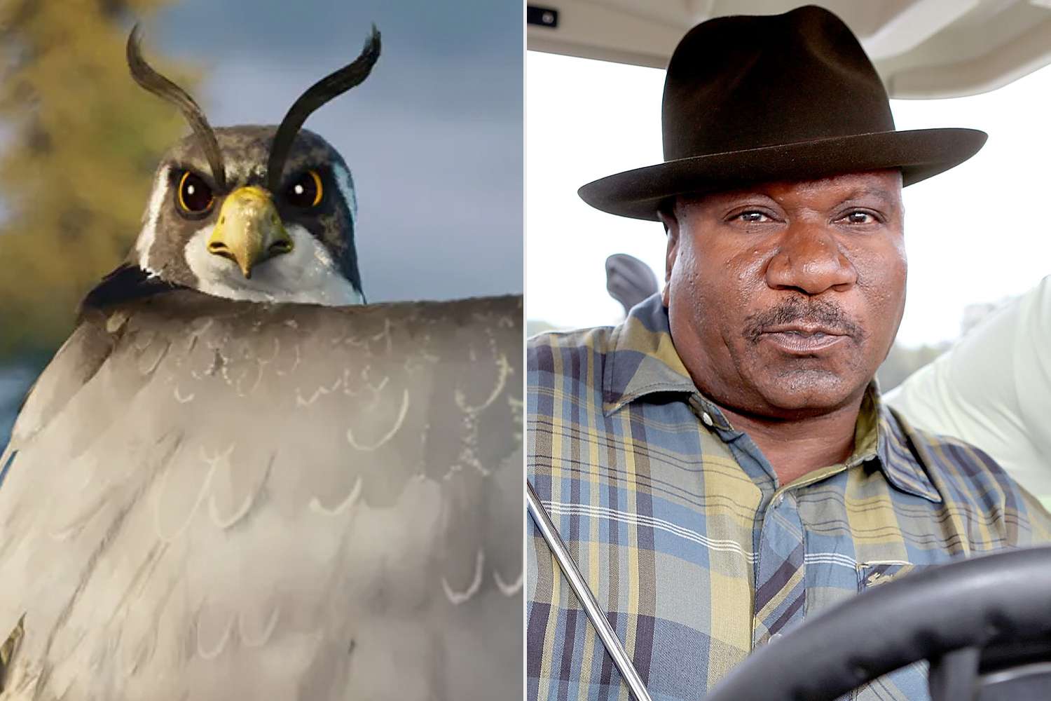 The Wild Robot; Ving Rhames as Thunderbolt