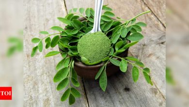 Moringa For Hair Growth: How to consume Moringa for hair growth |