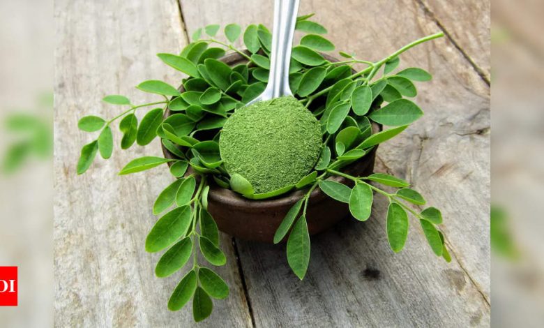 Moringa For Hair Growth: How to consume Moringa for hair growth |