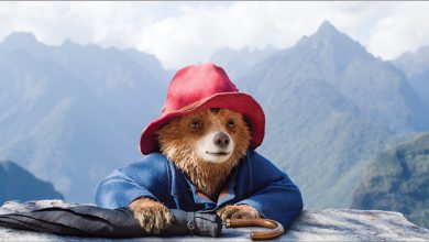 Paddington in Peru