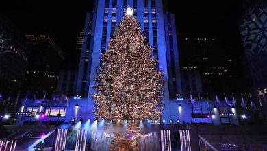 Rockefeller Center Christmas tree.