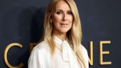 Céline Dion attends the