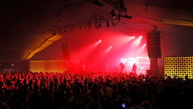 Irish hip hop band Kneecap performing at 2025 Coachella