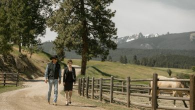 Yellowstone Still