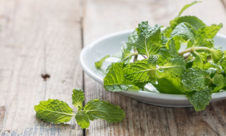 Pudina leaves for hair health: Benefits, how to use them, and more