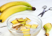 How to use banana peel for hair growth in summer
