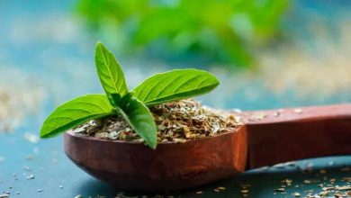 5 best herbal remedies for hair growth that actually work