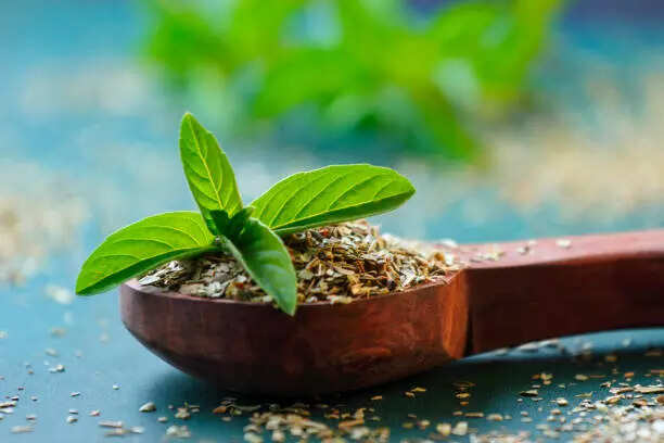 5 best herbal remedies for hair growth that actually work