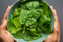 5 ways to add fresh spinach to your hair routine to promote hair growth