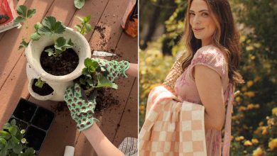 Woman Creates