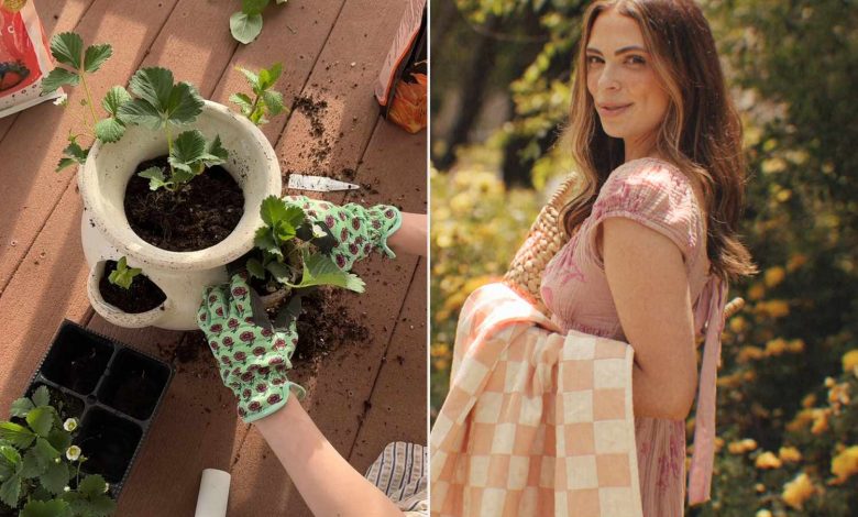 Woman Creates