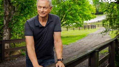 Gary Sinise Opens Up About Leaving Hollywood and Losing His Son to Cancer: 'I Just Want to Be Around Family' (Exclusive)