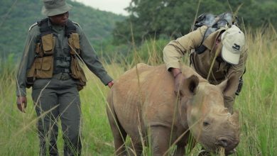 Prince William Launches ‘Guardians’ Docuseries on Rangers on BBC Earth Digital Platforms
