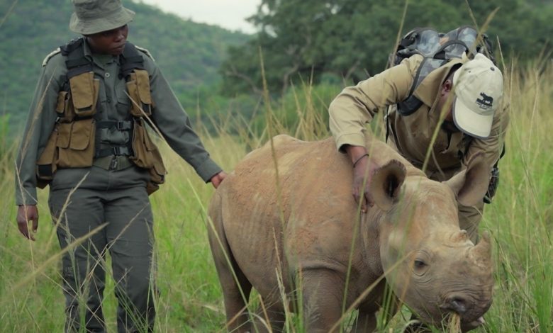 Prince William Launches ‘Guardians’ Docuseries on Rangers on BBC Earth Digital Platforms