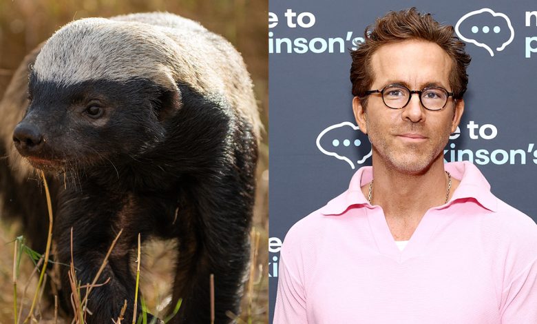 Honey Badger and Ryan Reynolds