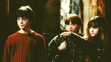 Harry Potter and the Sorcerer
