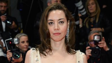 Aubrey Plaza puts on brave face in stunning first red carpet appearance since husband Jeff Baena's death