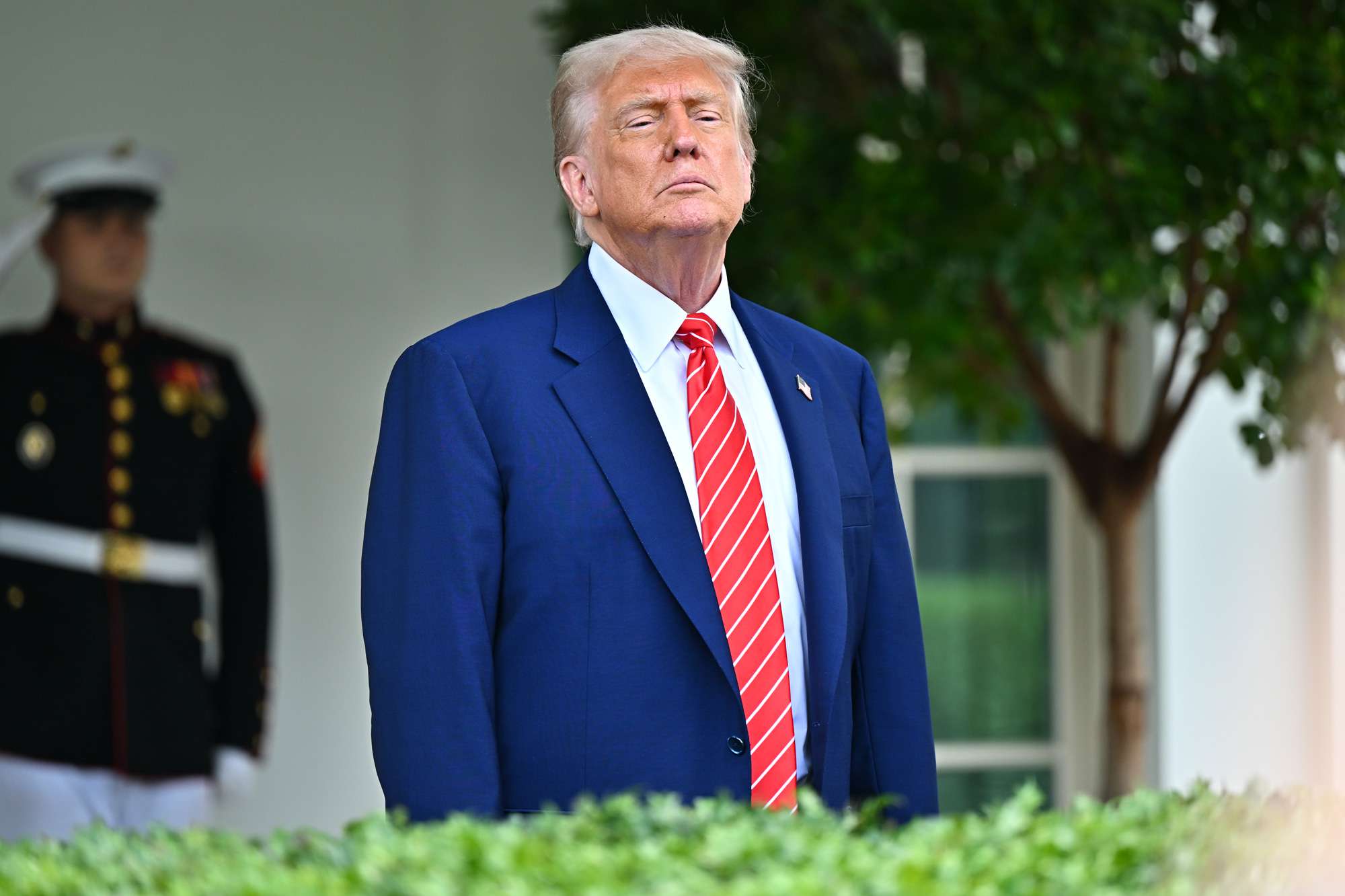President Donald Trump at the White House on May 8
