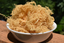 Sea Moss Skin Benefits you didn’t even know existed |