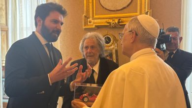 Al Pacino Meets Pope Leo XIV, Becoming First Movie Star to Get an Audience With American Pontiff
