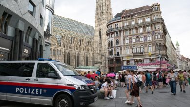 Germany Arrests Syrian National Over 2024 Terrorist Plot At Taylor Swift Show