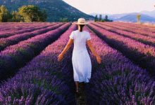These 10 Lavender Fragrances Are Basically a Trip to Provence in a Bottle
