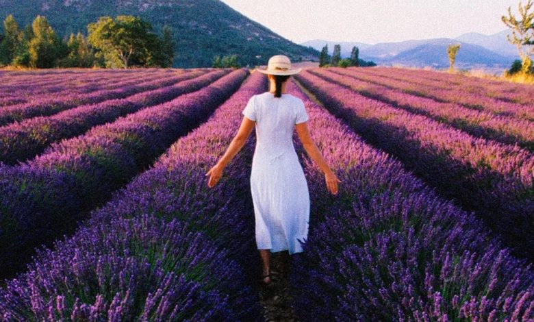 These 10 Lavender Fragrances Are Basically a Trip to Provence in a Bottle