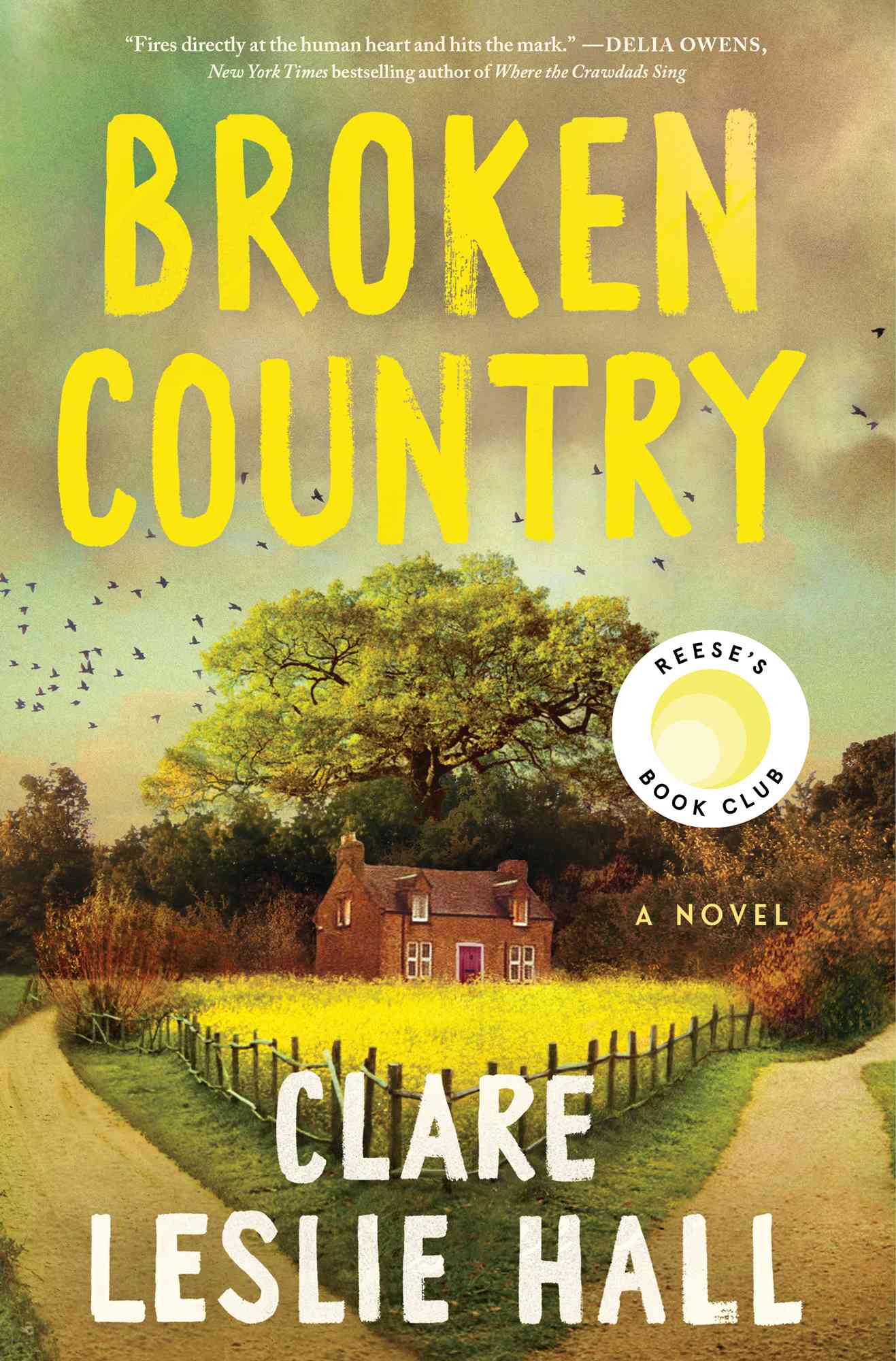 'Broken Country' by Clare Leslie Hall