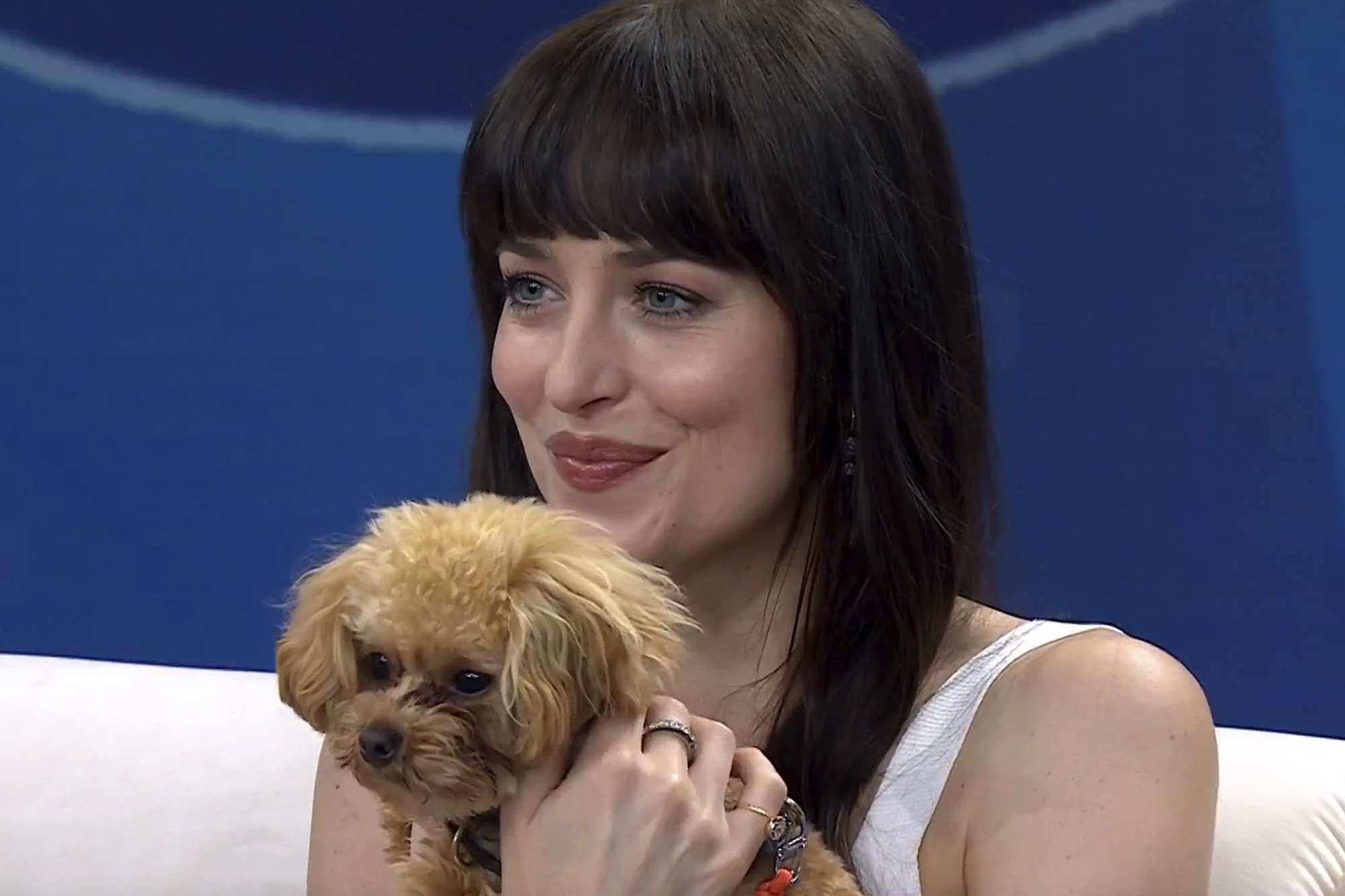 Orlando Bloom's Dog Biggie Smalls Interrupts His Today Show Interview