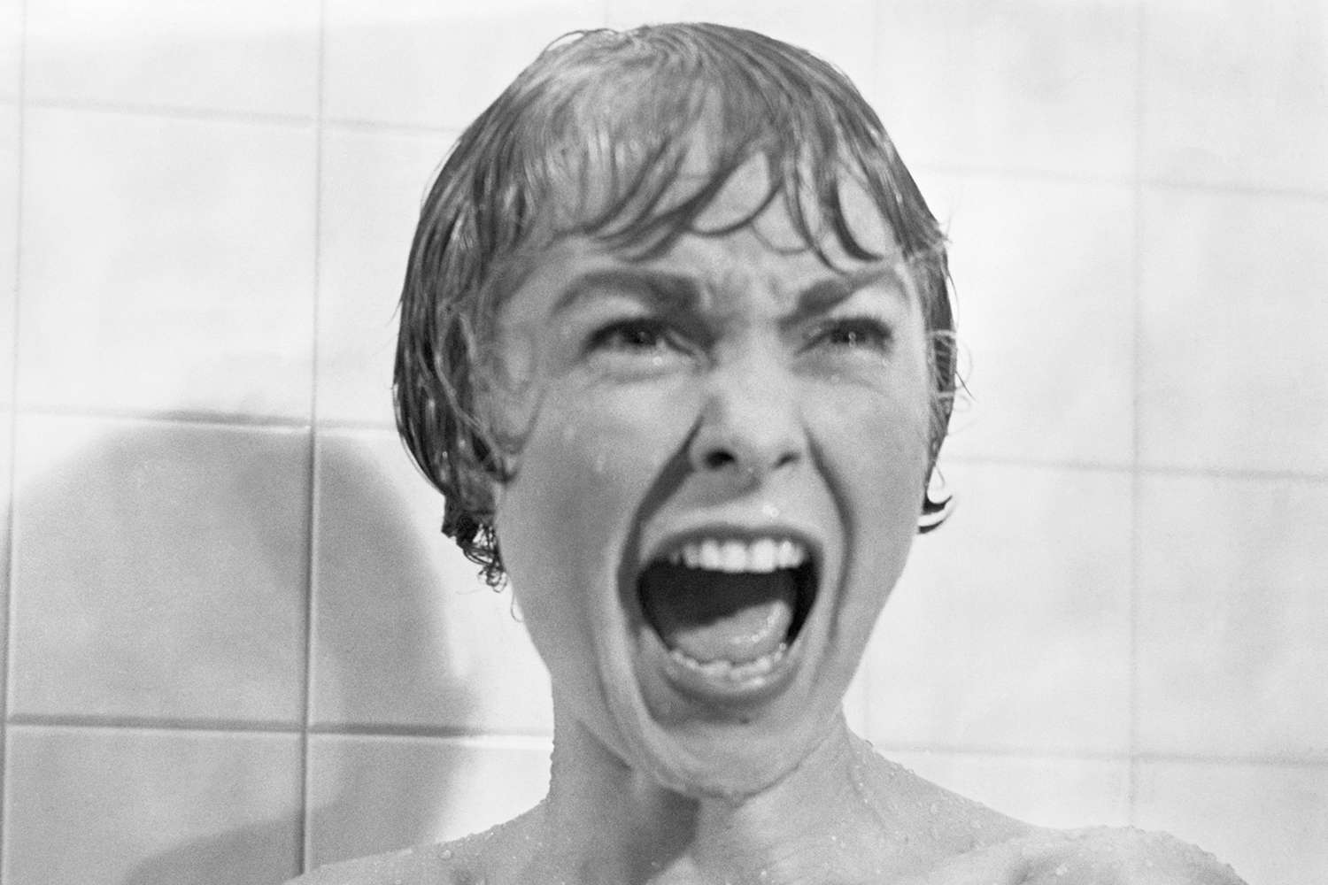 In the shower scene from the film Psycho, Marion Crane (played by Janet Leigh) screams in terror as Norman Bates tears open her shower curtain. 