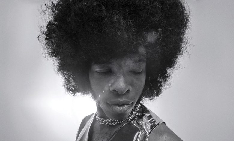 Sly and the Family Stone frontman Sly Stone